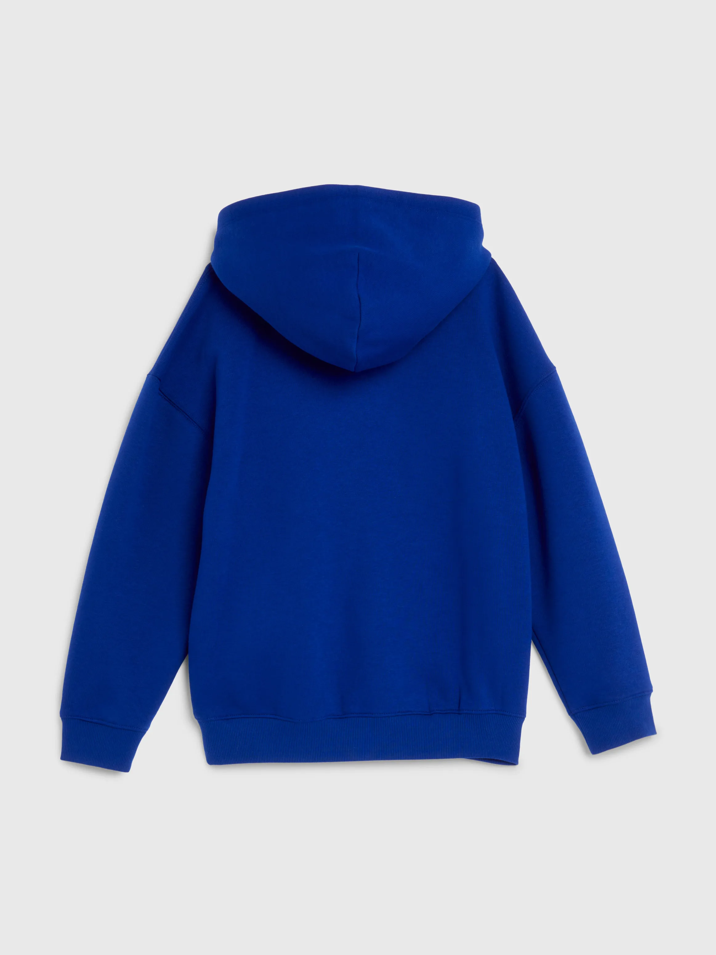 Boys 3-7 Varsity Logo Hoodie | Sweatshirts & Hoodies | Tommy Kids