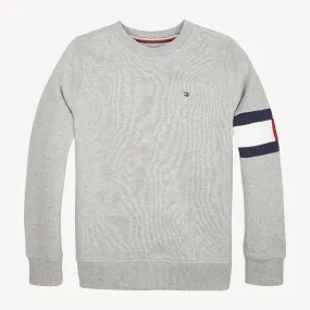 Boys 8-16 Flag Sleeve Sweatshirt | Hoodies | Tommy Hilfiger