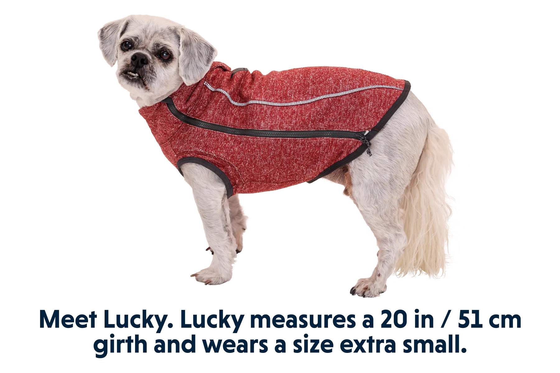 Hemp Hound Dog Sweater