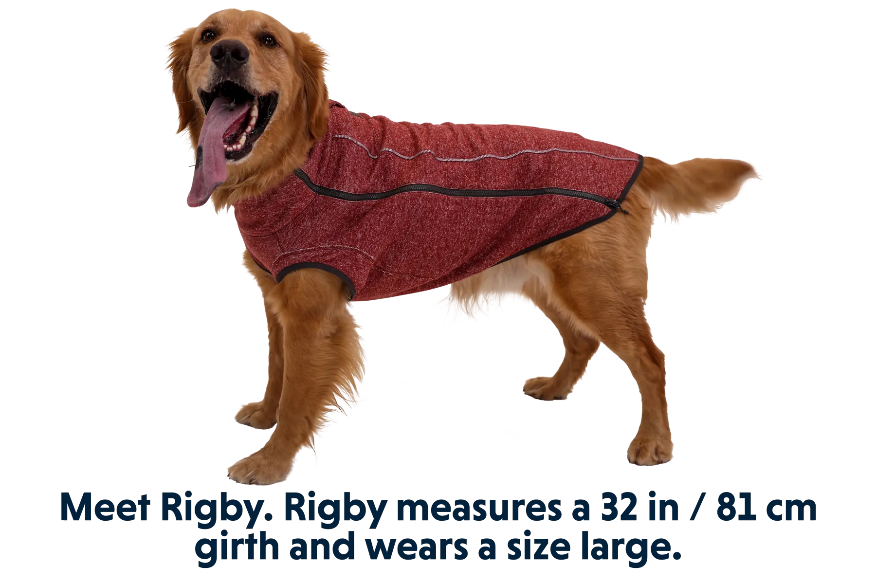 Hemp Hound Dog Sweater